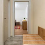 Vivid Apartamento Pula