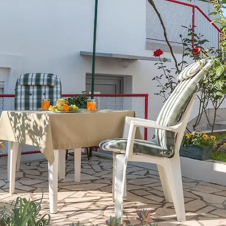Vivid Apartament